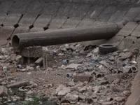 n5.jpg