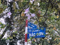 b9.jpg