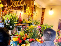 p7.jpg