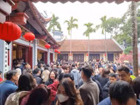 p8.jpg