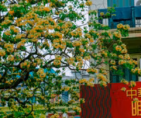 a6.jpg