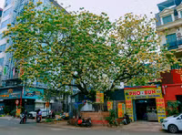 a1.jpg