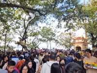 p9.jpg