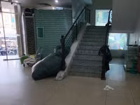 d9.jpg