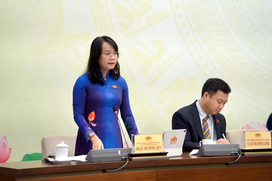 Đại biểu Quốc hội hoạt động chuyên trách tại Ủy ban Kinh tế và Tài chính Phạm Thị Hồng Yến