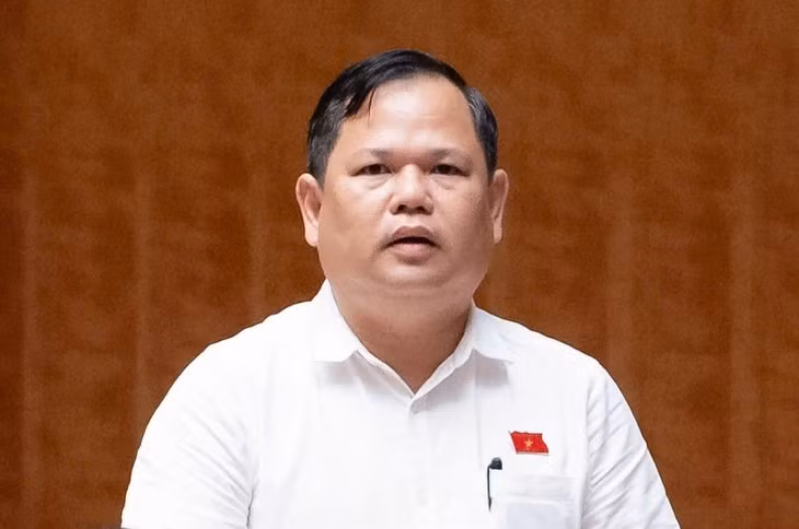 Đại biểu Quốc hội Nguyễn Duy Thanh (Cà Mau) đề nghị nâng ngưỡng doanh thu chịu thuế với hộ kinh doanh lên 3 tỷ đồng/năm. 