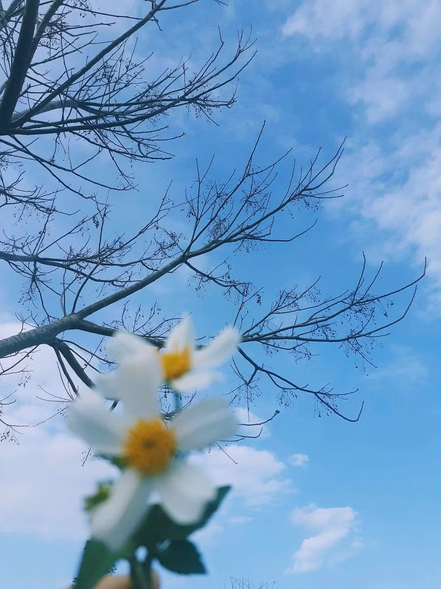cam-thu-van-hoc-giu-long-nhiet-thanh-1.jpg