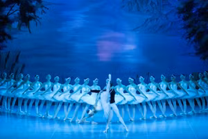 Dàn nghệ sĩ danh tiếng Nga lần đầu diễn ballet Hồ Thiên Nga tại Việt Nam