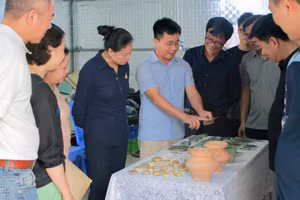 Khẩn trương hoàn thiện hồ sơ đề nghị xếp hạng di chỉ Vườn Chuối