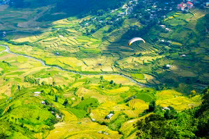 Ảnh minh họa: ITN.