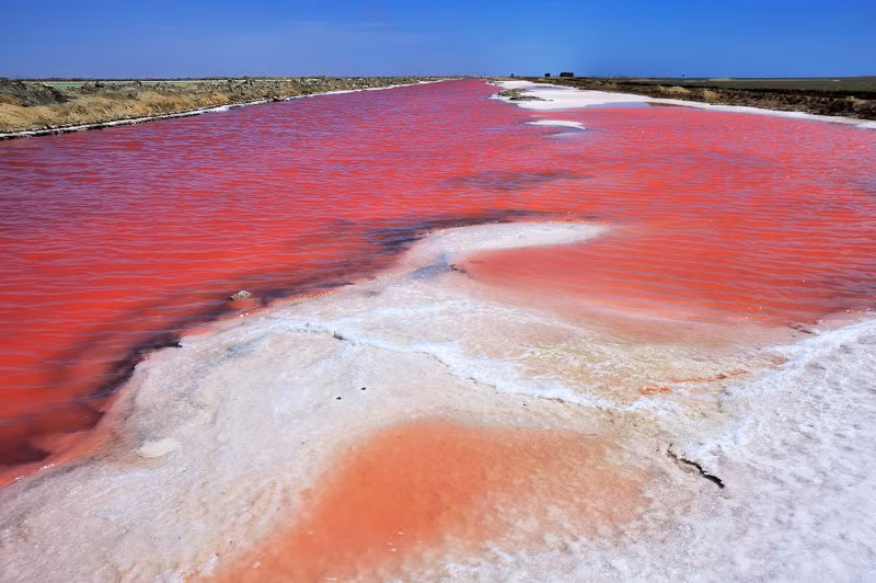Walvis Bay ở Namibia là nơi có nhà máy sản xuất muối biển bằng năng lượng mặt trời lớn nhất ở khu vực cận Sahara châu Phi. Nhà máy này nổi tiếng với những ao bay hơi có màu sắc rực rỡ. 2.png