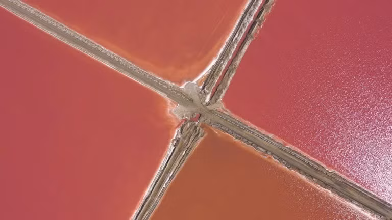 Walvis Bay là một thành phố cảng nằm trên bờ biển Đại Tây Dương của Namibia, nơi có một nhà máy sản xuất muối biển khổng lồ. istockphoto-1394027834-640x640.jpg
