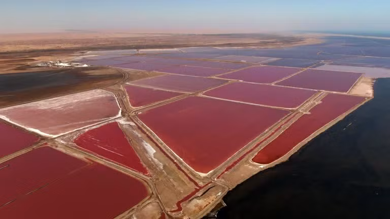 Khu sản xuất muối nằm cách trung tâm thành phố Walvis Bay khoảng 8 km về phía tây nam. istockphoto-1389199862-640x640.jpg