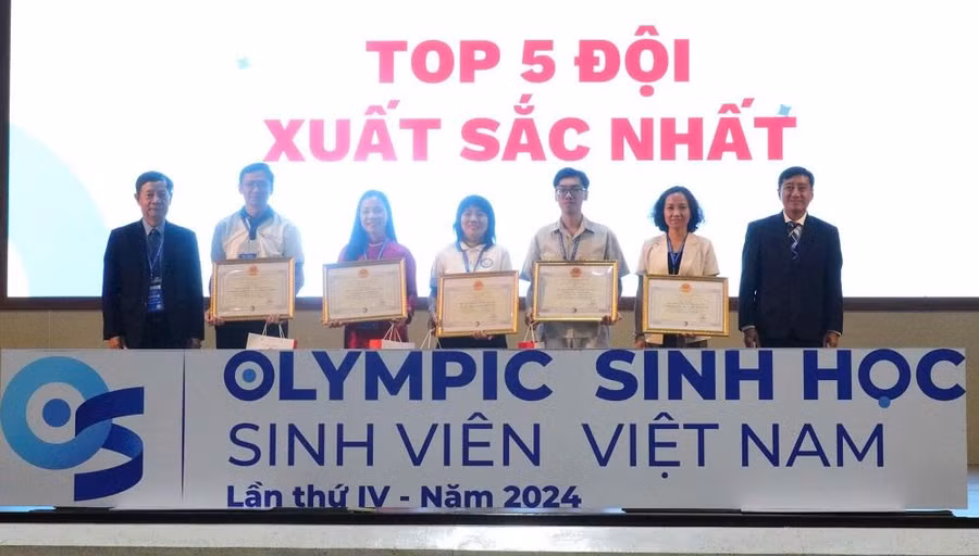 TOP 5.jpg