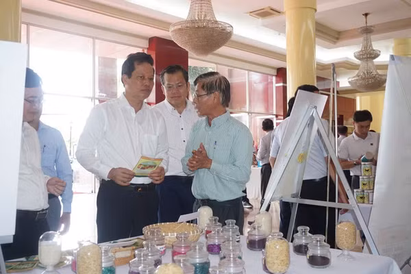 Phó Chủ tịch UBND tỉnh Đồng Tháp Nguyễn Thành Diệu tham quan gian hàng trưng bày sản phẩm của doanh nghiệp.