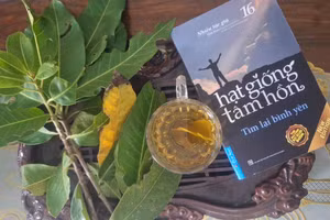 Nước vối thân thương