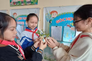 Hình ảnh trao đổi của các nhóm học sinh lớp 5B Trường Tiểu học Đức Lâm (Đức Thọ, Hà Tĩnh) về nhật kí trồng cây. Ảnh: TG