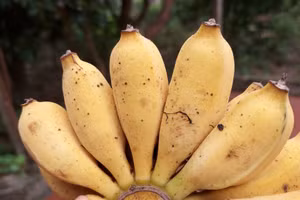 Ảnh: Quốc Bình