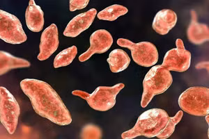 Một số ca bệnh được xác định nguyên nhân do nhiễm vi khuẩn Mycoplasma - tác nhân gây nhiễm trùng đường hô hấp. Ảnh minh họa