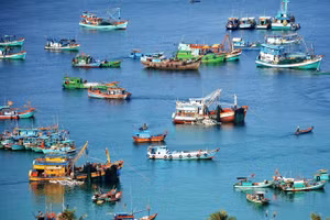 Minh họa/INT