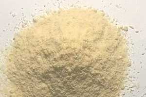 Sản phẩm trà hòa tan từ đinh lăng lá nhỏ.