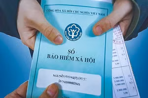 Minh họa/INT
