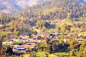 Minh họa/INT