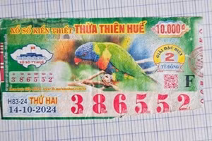 Minh họa/INT