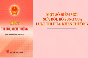 Minh họa/INT