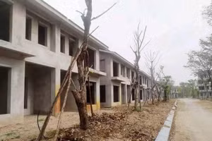 Minh họa/INT