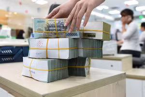 Cần xây dựng hệ thống pháp lý đủ mạnh đối với Luật Bảo hiểm tiền gửi để hoạt động hiệu quả. Minh họa: ITN