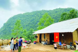 Minh họa/INT