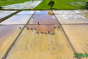 Minh họa/INT