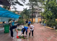 Việt Cường