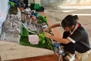 Học sinh Trường PTDTBT TH&THCS Tà Tổng xây dựng mô hình “Giải pháp phát triển nông nghiệp bền vững ở vùng núi cao”.