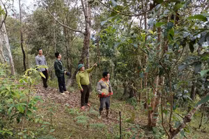 Cán bộ Hạt Kiểm lâm Tủa Chùa phối hợp với người dân tuần tra bảo vệ rừng.