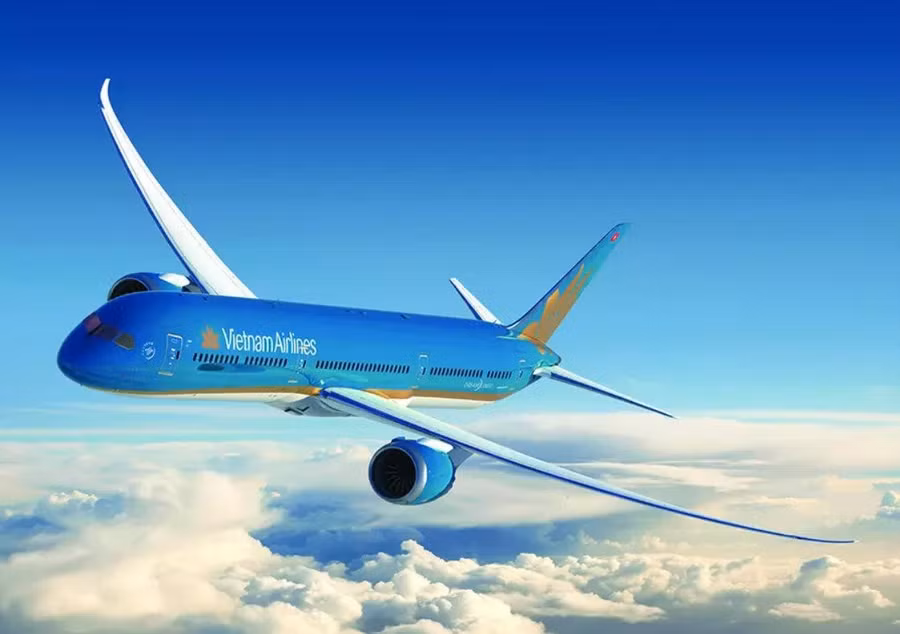 Hãng hàng không quốc gia Vietnam Airlines.