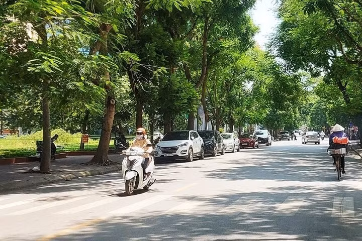 Ảnh minh hoạ.