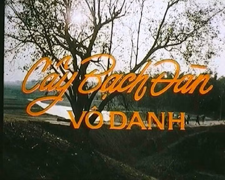 cay-bach-dan-1.jpg