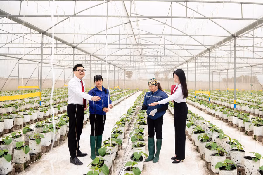 agribank-9.jpg