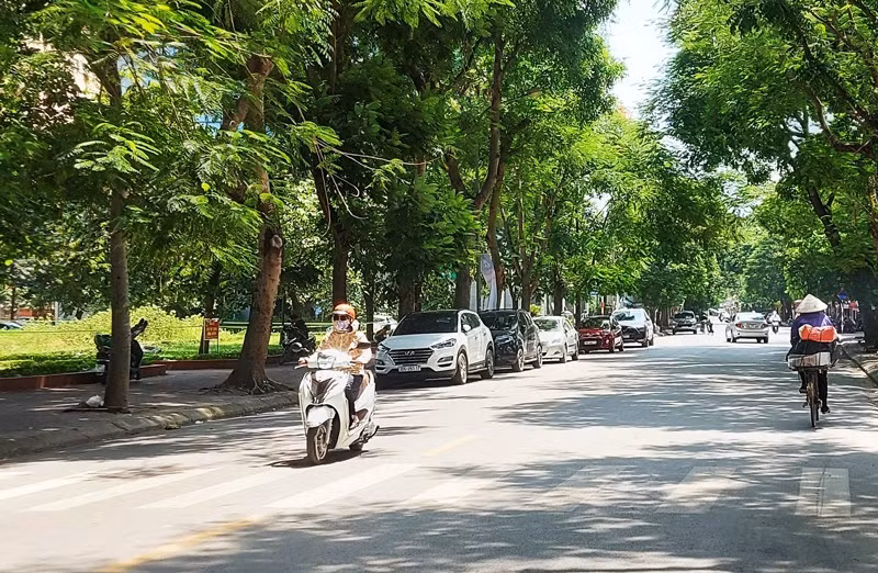 Ảnh minh hoạ.