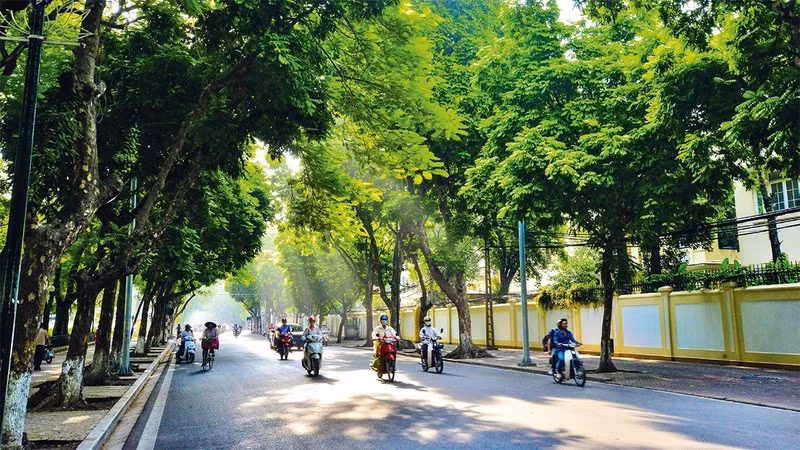 Ảnh minh họa.