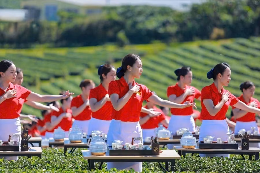 world-tea-fest-3.jpg