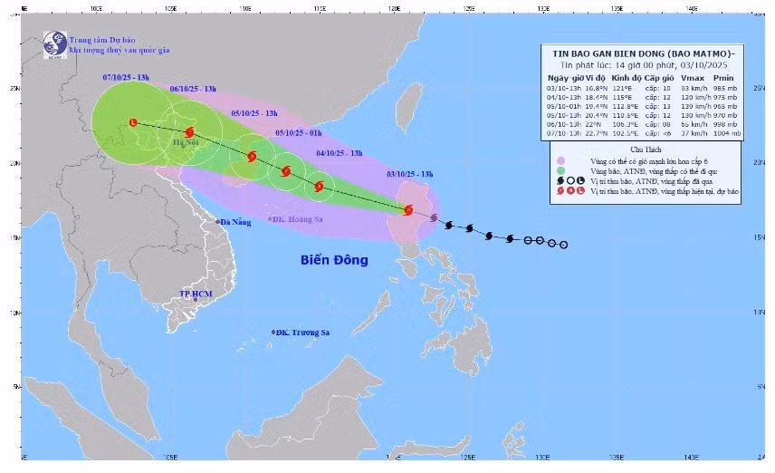 bao-matmo-1.jpg