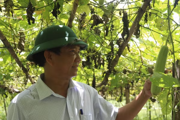 Hướng đi giúp người dân thoát nghèo bền vững, an toàn cho môi trường.