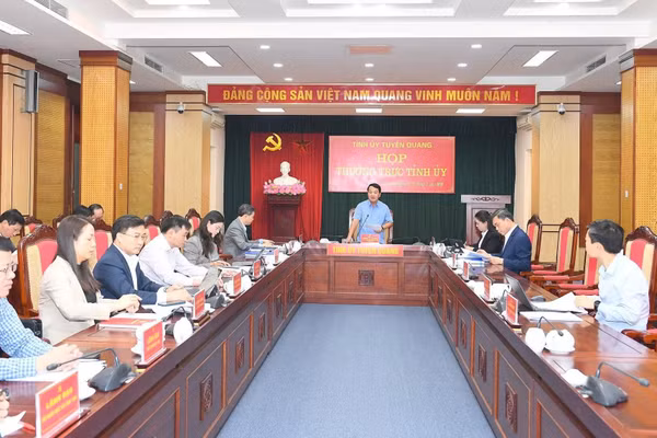 Cuộc họp thường trực Tỉnh ủy Tuyên Quang.