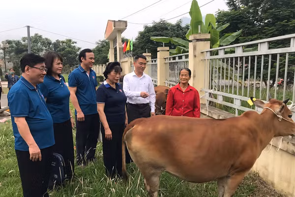 Hỗ trợ sinh kế cho người yếu thế phát triển kinh tế. (Ảnh: Minh Thủy)