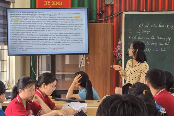 Các nhà trường chú trọng phát triển năng lực cá nhân và định hướng nghề nghiệp rõ ràng cho học sinh.