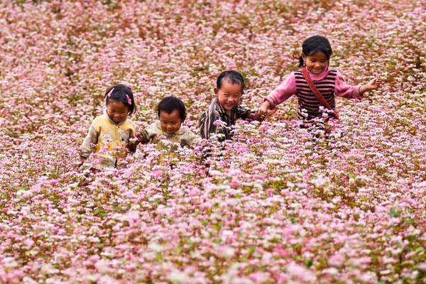 Biểu tượng sức sống mãnh liệt của con người nơi đây.