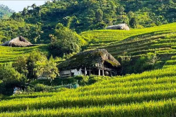 Sự trù phú nơi biên cương Tuyên Quang giúp người dân ngày càng no ấm.